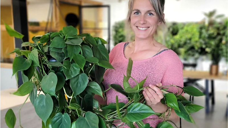 Plantadvies